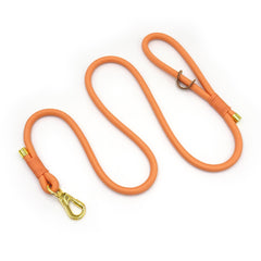 PU Leather Dog Collar, Collar/Harness/Lead/Poop Bag, Dog Collar Leash in Orange, Engraved Metal Buckle, Wedding Puppy Gift, Australia