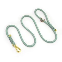 PU Leather Dog Collar, Collar/Harness/Lead/Poop Bag, Dog Collar Leash in Mint Green, Engraved Metal Buckle, Wedding Puppy Gift, Australia