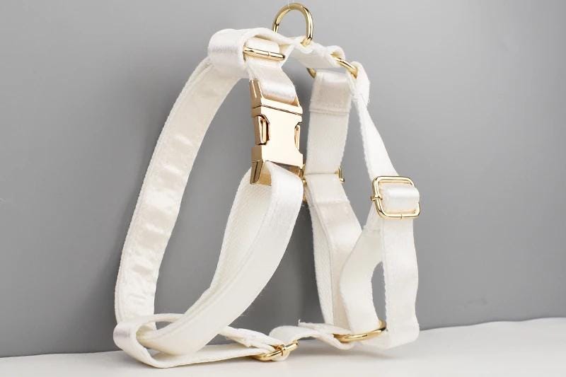 Wedding Dog Collar in White Satin, Custom Silky Roman Dog Harness with Name, Leash, Sailor Bow for Birthday