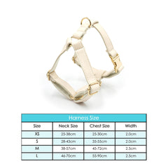 Custom Dog Leather Collar, Cream PU Leather with Engraved Buckle, Strong Roll Nylon Dog Lead, Pet Collar & Leash Sets, Different Combo