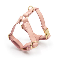 PU Leather Dog Collar, Collar/Harness/Lead/Poop Bag, Dog Collar Leash in Pink, Engraved Metal Buckle, Wedding Puppy Gift, Australia