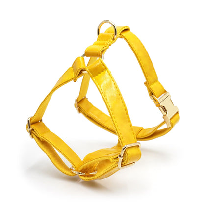 PU Leather Dog Collar, Collar/Harness/Lead/Poop Bag, Dog Collar Leash in Yellow, Engraved Metal Buckle, Wedding Puppy Gift, Australia