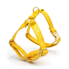 PU Leather Dog Collar, Collar/Harness/Lead/Poop Bag, Dog Collar Leash in Yellow, Engraved Metal Buckle, Wedding Puppy Gift, Australia