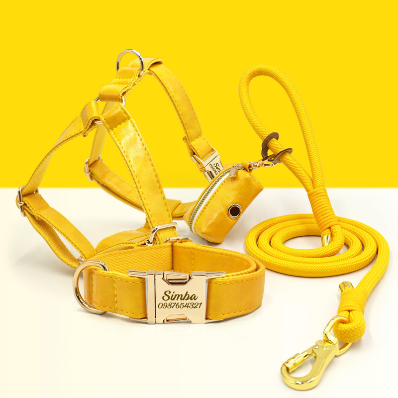 PU Leather Dog Collar, Collar/Harness/Lead/Poop Bag, Dog Collar Leash in Yellow, Engraved Metal Buckle, Wedding Puppy Gift, Australia