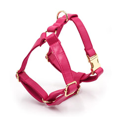 PU Leather Dog Collar, Collar/Harness/Lead/Poop Bag, Dog Collar Leash in Hot Pink, Engraved Metal Buckle, Wedding Puppy Gift, Australia