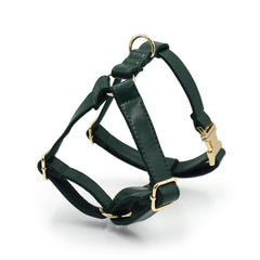 PU Leather Dog Collar, Collar/Harness/Lead/Poop Bag, Dog Collar Leash in Dark Green, Engraved Metal Buckle, Wedding Puppy Gift, Australia