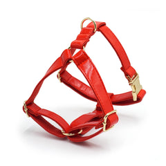 PU Leather Dog Collar, Collar/Harness/Lead/Poop Bag, Dog Collar Leash in Red, Engraved Metal Buckle, Wedding Puppy Gift, Australia