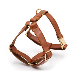 PU Leather Dog Collar, Collar/Harness/Lead/Poop Bag, Dog Collar Leash in Light Brown, Engraved Metal Buckle, Wedding Puppy Gift, Australia