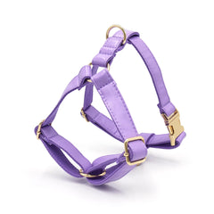 PU Leather Dog Collar, Collar/Harness/Lead/Poop Bag, Dog Collar Leash in Purple, Engraved Metal Buckle, Wedding Puppy Gift, Australia