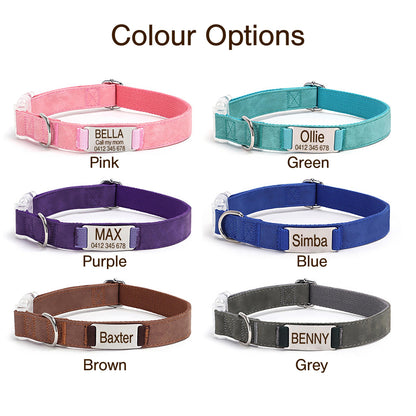 Personalised Engraved PU Leather Dog Collar with nameplate, Transparent Buckle Collar, Matching Leash Available, Au, Us, Uk, Ca Free Ship