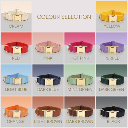 PU Leather Dog Collar, Collar/Lead/Poop Bag, Dog Collar Leash Set Cream+Light Blue+Yellow+Orange Engraved Metal Buckle, Wedding Puppy Gift