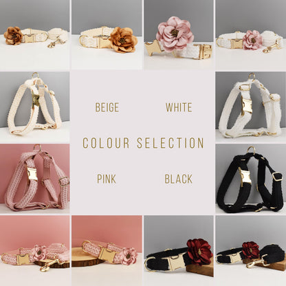 Custom Black Lace Personalised Fancy Wedding Dog Collar or Dog Flower, Dog Leash & H-Style Dog Harness for Small Medium Large Dogs