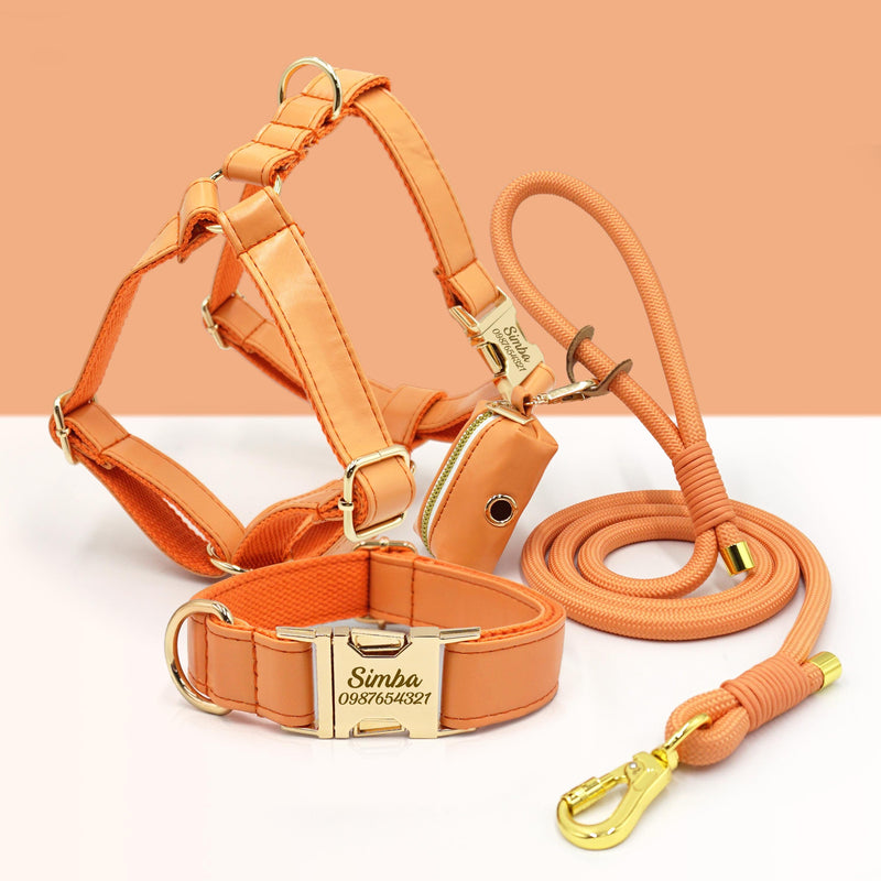 PU Leather Dog Collar, Collar/Harness/Lead/Poop Bag, Dog Collar Leash in Orange, Engraved Metal Buckle, Wedding Puppy Gift, Australia