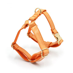 PU Leather Dog Collar, Collar/Harness/Lead/Poop Bag, Dog Collar Leash in Orange, Engraved Metal Buckle, Wedding Puppy Gift, Australia