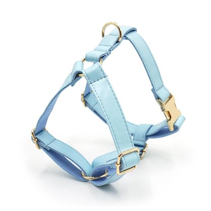 PU Leather Dog Collar, Collar/Harness/Lead/Poop Bag, Dog Collar Leash in Light Blue, Engraved Metal Buckle, Wedding Puppy Gift, Australia