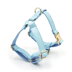 PU Leather Dog Collar, Collar/Harness/Lead/Poop Bag, Dog Collar Leash in Light Blue, Engraved Metal Buckle, Wedding Puppy Gift, Australia