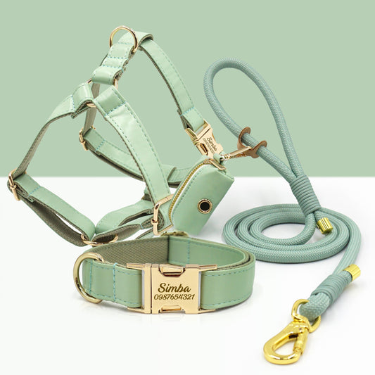 PU Leather Dog Collar, Collar/Harness/Lead/Poop Bag, Dog Collar Leash in Mint Green, Engraved Metal Buckle, Wedding Puppy Gift, Australia
