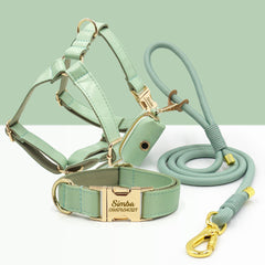 PU Leather Dog Collar, Collar/Harness/Lead/Poop Bag, Dog Collar Leash in Mint Green, Engraved Metal Buckle, Wedding Puppy Gift, Australia