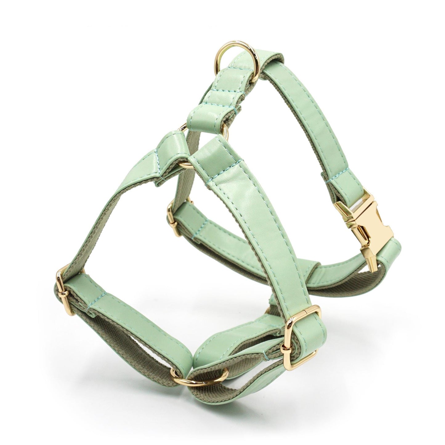 PU Leather Dog Collar, Collar/Harness/Lead/Poop Bag, Dog Collar Leash in Mint Green, Engraved Metal Buckle, Wedding Puppy Gift, Australia