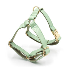 PU Leather Dog Collar, Collar/Harness/Lead/Poop Bag, Dog Collar Leash in Mint Green, Engraved Metal Buckle, Wedding Puppy Gift, Australia
