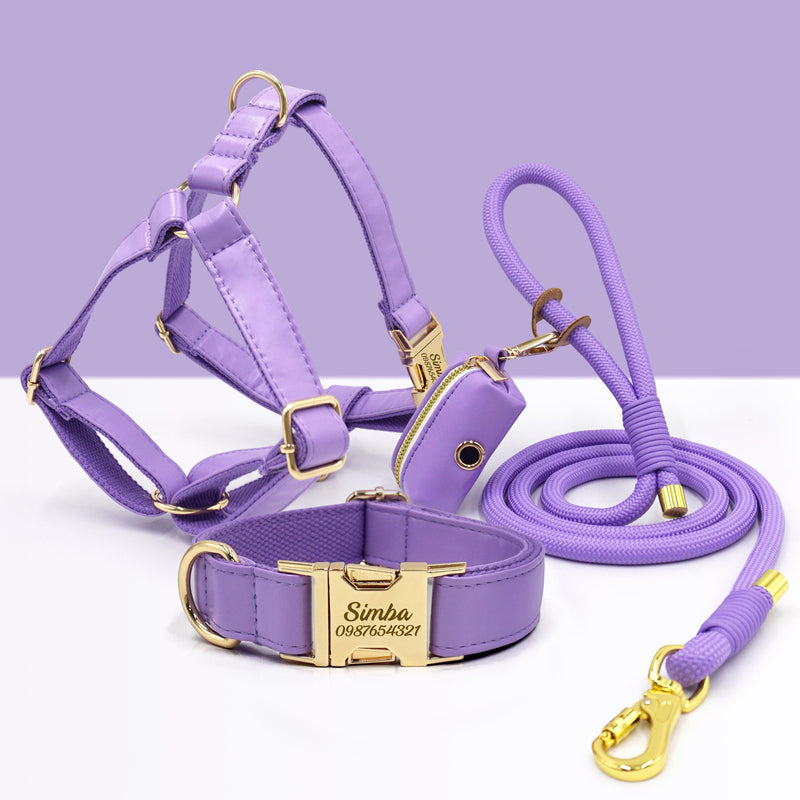 PU Leather Dog Collar, Collar/Harness/Lead/Poop Bag, Dog Collar Leash in Purple, Engraved Metal Buckle, Wedding Puppy Gift, Australia