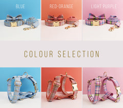Custom Blue Plaid Dog Walking Set Personalized Dog Collar, Matching Dog Bowtie, Dog Leash, Roman Dog Harness, Different Combo