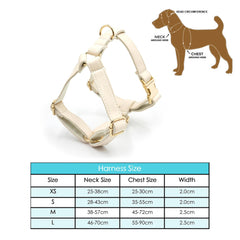 PU Leather Dog Collar, Collar/Harness/Lead/Poop Bag, Dog Collar Leash in Mint Green, Engraved Metal Buckle, Wedding Puppy Gift, Australia