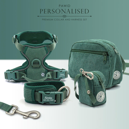 Personalised Dog Collar or Dog Harness Set - Green No Pull Dog Harness - Dog Leash - Poop Bag Holder - Treat Bag
