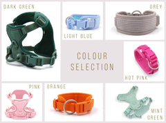 Personalised Dog Collar or Dog Harness Set - No Pull Dog Harness - Dog Leash - Poop Bag Holder - Treat Bag - Different Combo
