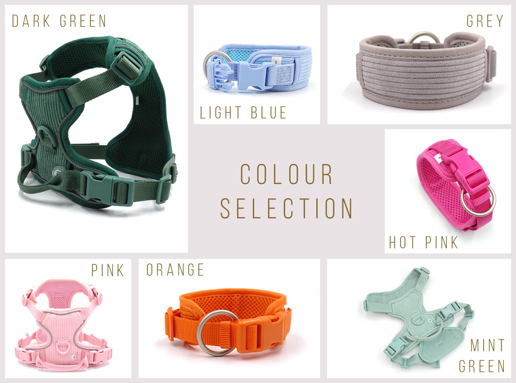 Personalised Dog Collar or Dog Harness Set - Mint Green No Pull Dog Harness - Dog Leash - Poop Bag Holder - Treat Bag - Different Combo