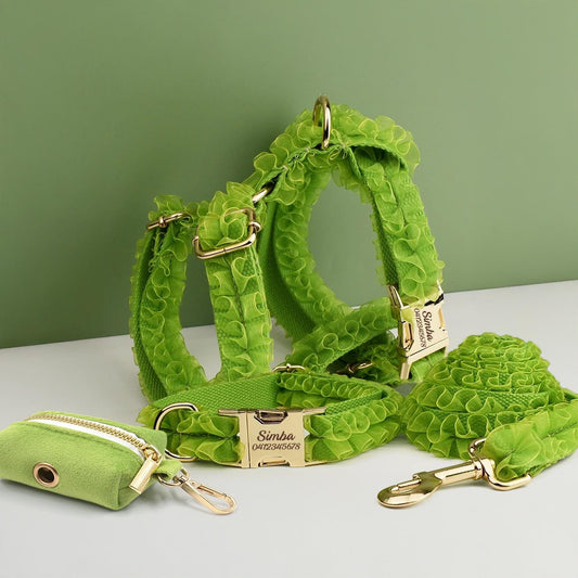 Green Dog Collar, Custom Lace H-Style Dog Harness with Name, Velvet Dog Poop Bag, Leash, for Wedding