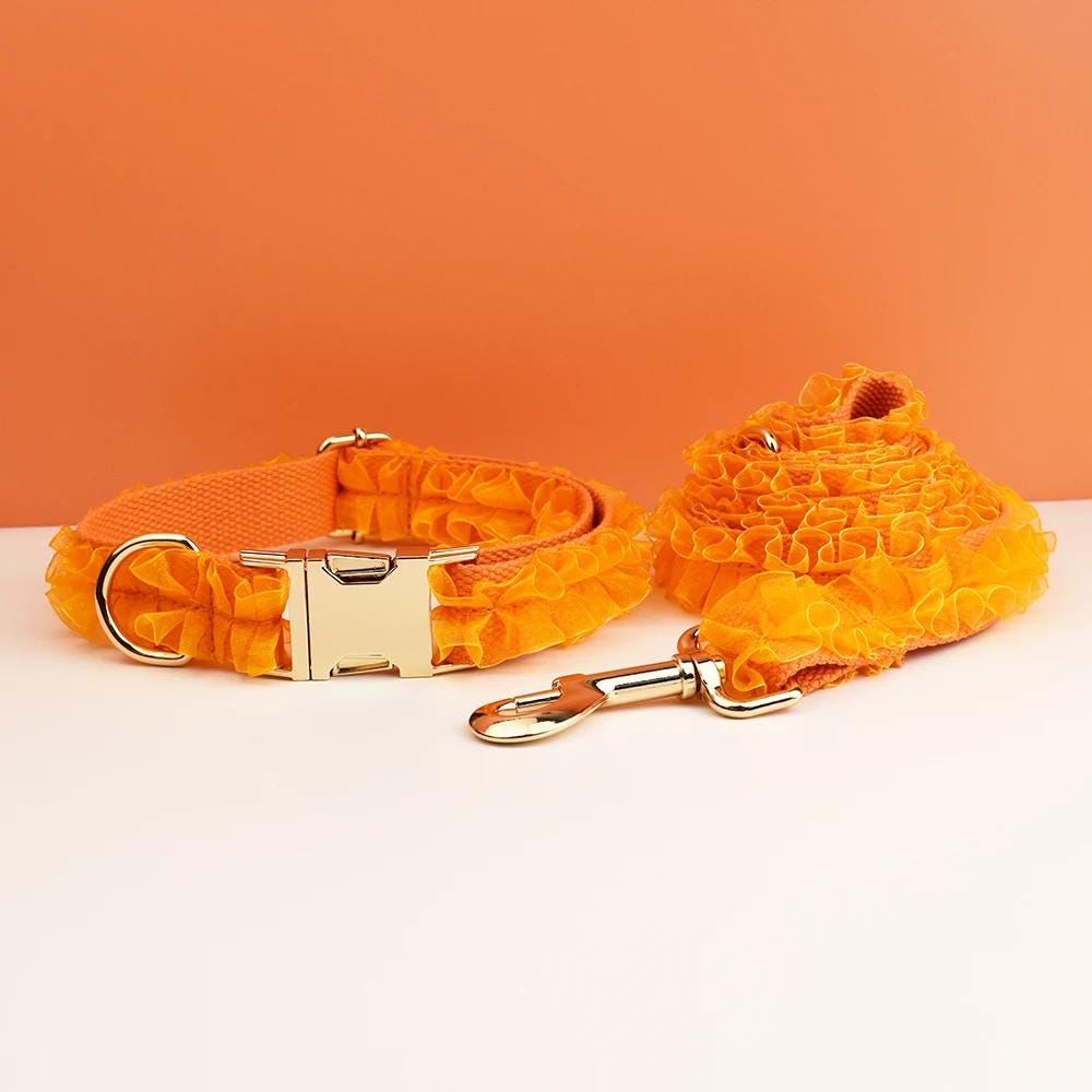 Orange Dog Collar, Custom Lace H-Style Dog Harness with Name, Velvet Dog Poop Bag, Leash, for Wedding