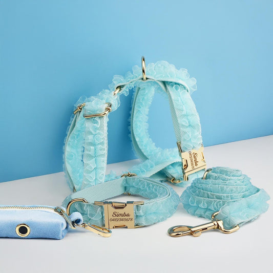 Blue Dog Collar, Custom Lace H-Style Dog Harness with Name, Velvet Dog Poop Bag, Leash, for Wedding