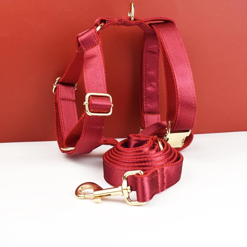 Wedding Dog Collar in Red Satin, Custom Silky Roman Dog Harness with Name, Leash, Sailor Bow for Birthday