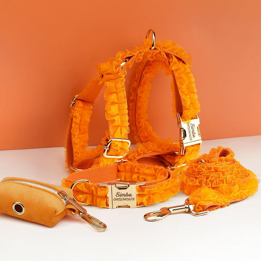 Orange Dog Collar, Custom Lace H-Style Dog Harness with Name, Velvet Dog Poop Bag, Leash, for Wedding