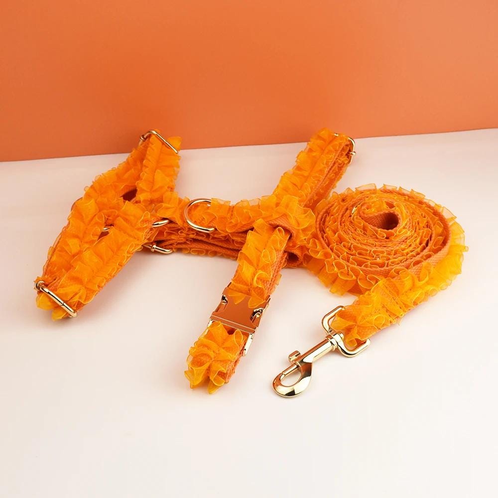 Orange Dog Collar, Custom Lace H-Style Dog Harness with Name, Velvet Dog Poop Bag, Leash, for Wedding, Different Combo