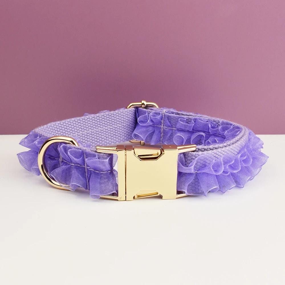 Purple Dog Collar, Custom Lace H-Style Dog Harness with Name, Velvet Dog Poop Bag, Leash, for Wedding