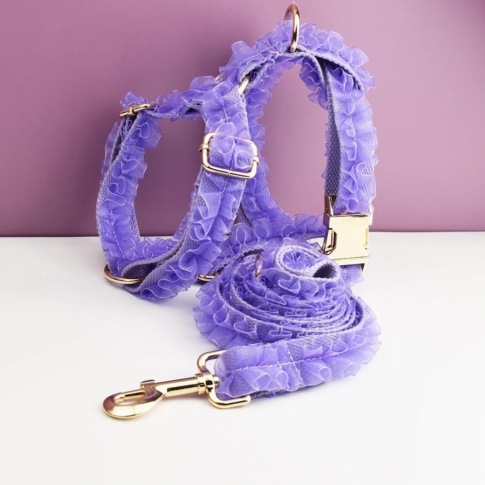 Purple Dog Collar, Custom Lace H-Style Dog Harness with Name, Velvet Dog Poop Bag, Leash, for Wedding
