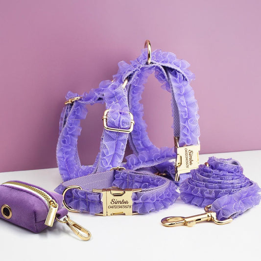 Purple Dog Collar, Custom Lace H-Style Dog Harness with Name, Velvet Dog Poop Bag, Leash, for Wedding
