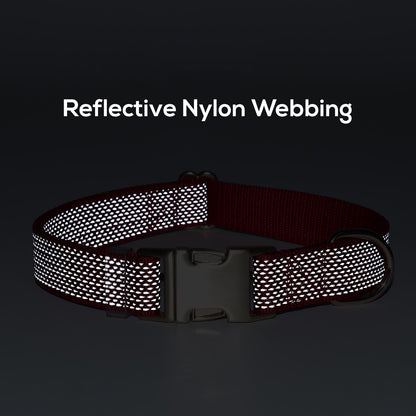 Personalised Reflective Dog Collar, Reflective Flat Collar, Nylon Webbing Collar, Unisex Collar, Red, Black, Green, Pink, Blue, Orange