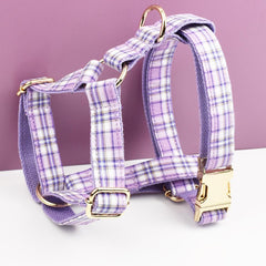 Custom Purple Plaid Personalized Dog Collar, Matching Dog Bowtie, Dog Leash, Roman Dog Harness, Different Combo