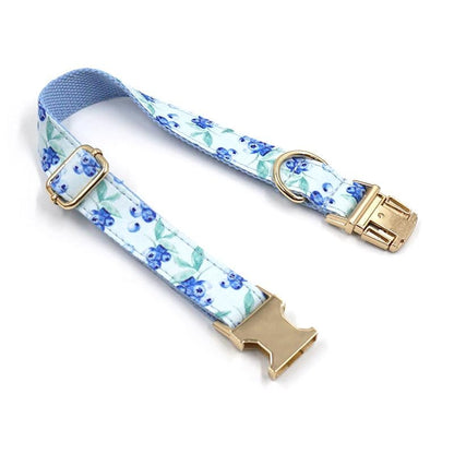 Personalised Dog Collar for Small to Large Dogs, Collar Leash Set, Custom Dog Collar Engraved Name, Peach Blueberry Cherry Lemon Dog Collar