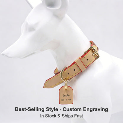 Leather collar with engraved tag on dog model