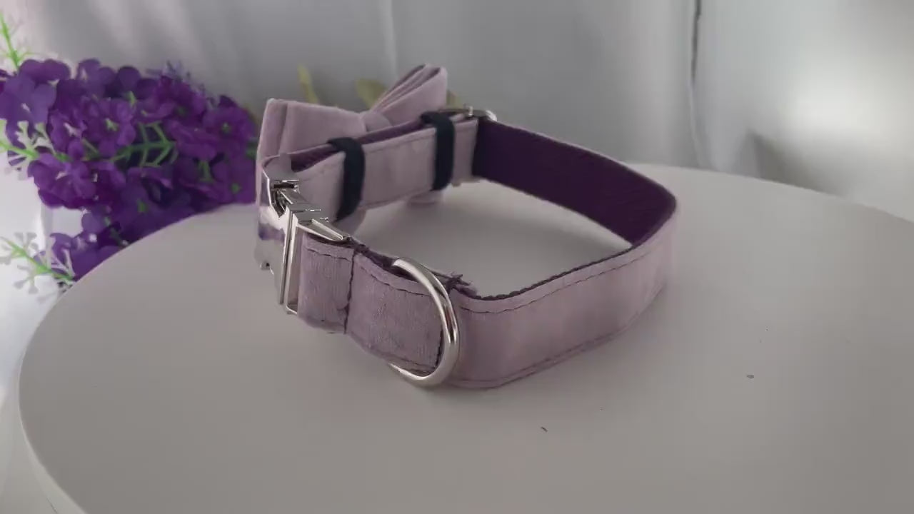 Personalized Engraved Handmade Velvet Dog Collar or Dog Collar and Leash, Dog Bowtie Available