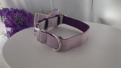 Personalized Engraved Handmade Velvet Dog Collar or Dog Collar and Leash, Dog Bowtie Available