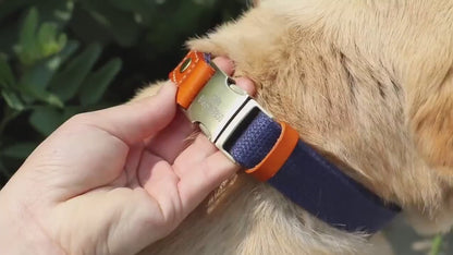 Leather Dog Collar Personalised Durable Nylon and Cow Leather Dog Collar with Custom Name Buckle