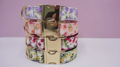 Personalised Dog Collar for Small to Large Dogs, Collar Leash Set, Custom Dog Collar Engraved Name, Peach Blueberry Cherry Lemon Dog Collar
