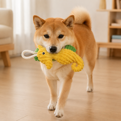 Shiba Inu dog carrying the yellow plush seahorse toy