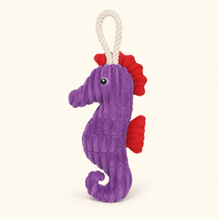 Purple crinkle plush seahorse squeaky dog toy with rope loop on cream background