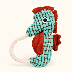 Teal crinkle plush seahorse squeaky dog toy with rope loop on cream background